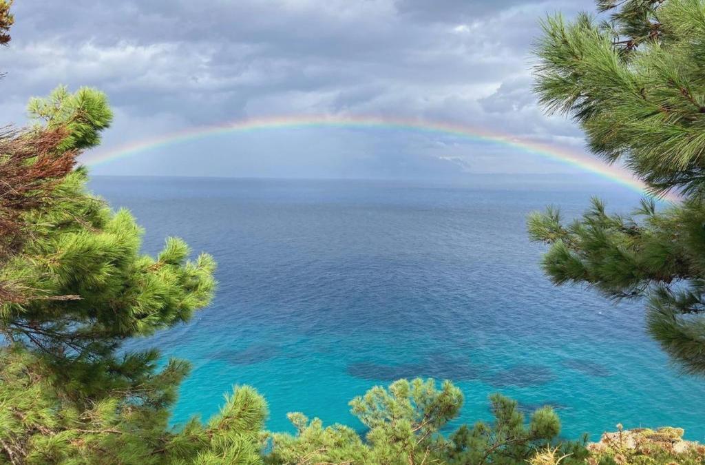 Manus Dei Exclusive Suites