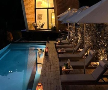 Five Olive Dream Trip