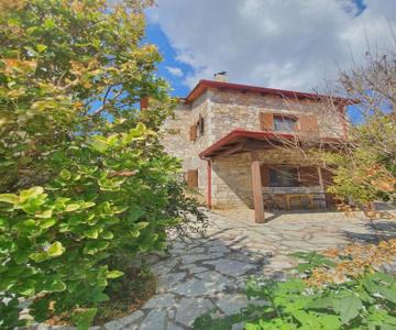Erini House