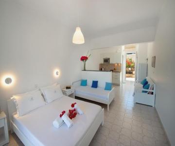 Niko's And Nora's Studios