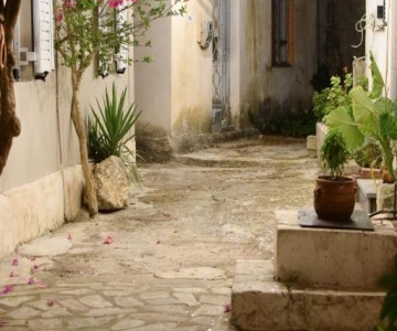 Daniela Village House