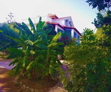 Blue Studios By Irene