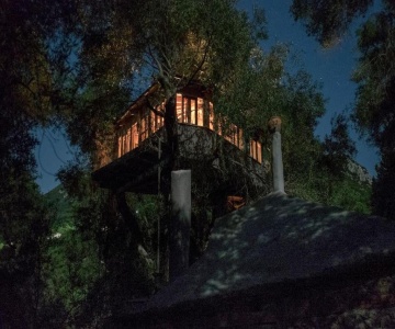 Margaritis's Treehouse