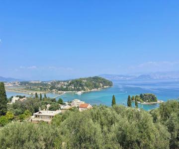 Mouse Island View Studios