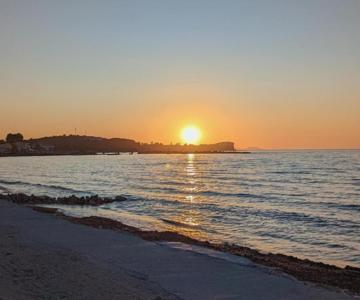 Dolphin Studios-near The Beach