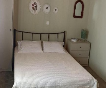 Anna’s Olive Grove