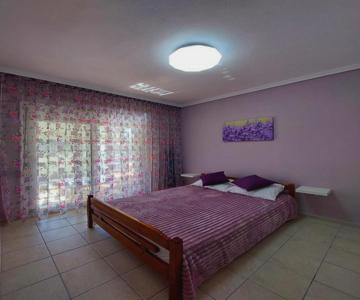 Orange Tree Apartment