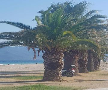 Apartment With Two Rooms Near The Beach