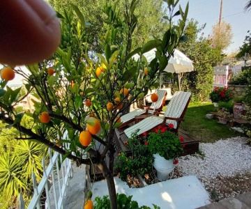 Nikos Stone House 80m From The Beach With Wifi