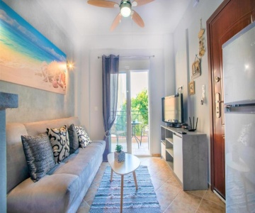 Blue Orchid - Modern Studio