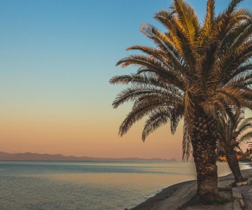 Mainavenue Palm Seaside