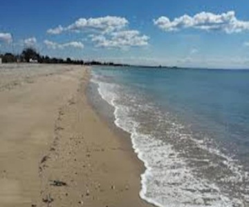 Konstantinos Apartmend Chalkidiki