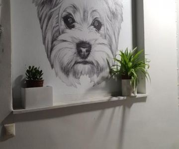 Larry's Little Place In The Center Of Gytheio