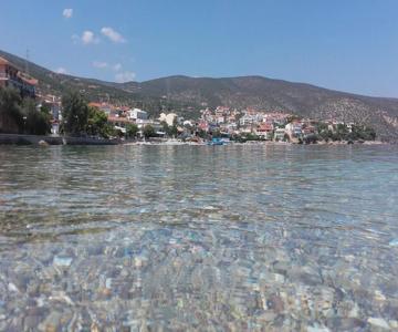 Zavitsa