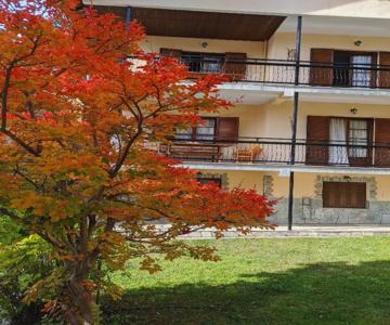 The House With The Hydrangeas