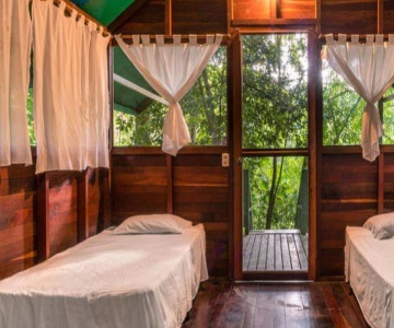 Chaltunha Lodge