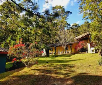 Cabañas Bosque Llano De La Virgen