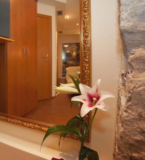 Authentic Luxury Rooms
