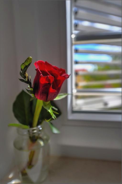 Via Porto Rooms