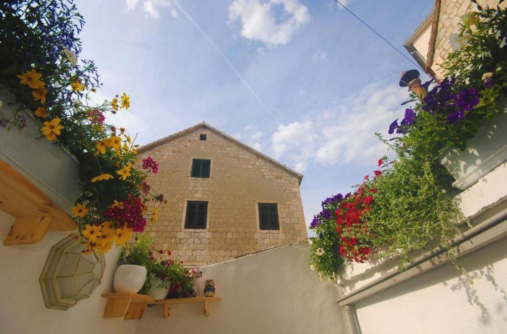 Apartments Kogo