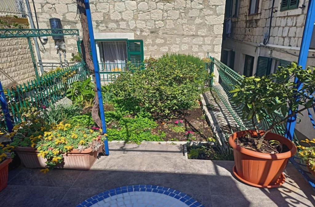 Apartment Split Belvedere