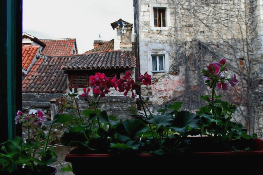 JR Luxury Guesthouse