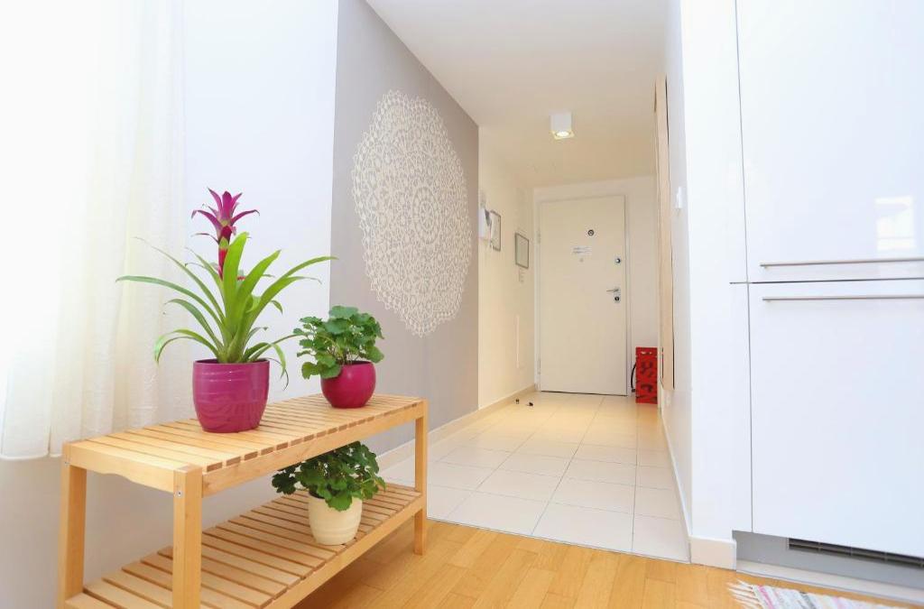 Luxury Apartments Leone