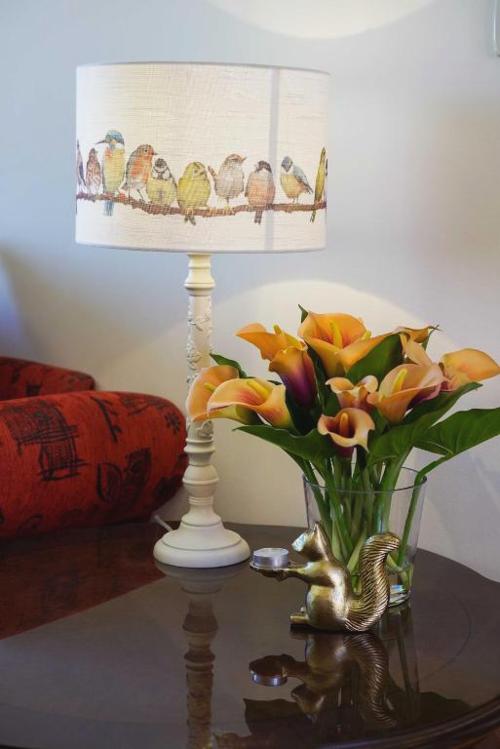 Boutique Guest Accommodation Zephyrus