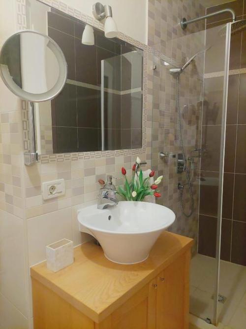 Boutique Guest Accommodation Zephyrus