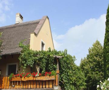 Andras Nadfedeles Vendeghaz