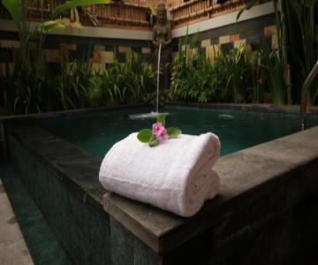 Natha Ubud Villa