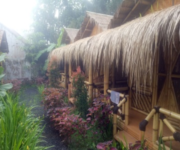 Javana Homestay