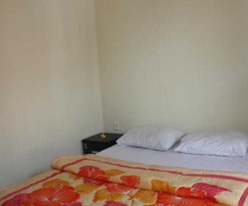 Citrus Tree B&B - Kunyit