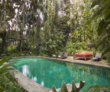 Citrus Tree Villas - Jean Francois