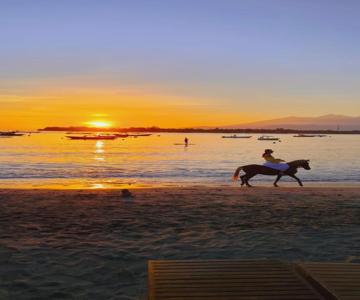 Gili Ocean Club