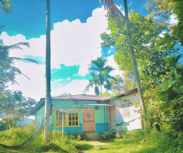 Sijo Art And Guesthouse