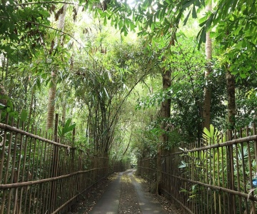 Omah Jegog Homestay