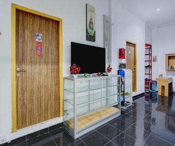 Paddington Bear Homestay Reddoors