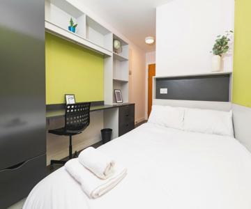 Destiny Student  Binary Hub