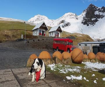 Norður-Vík