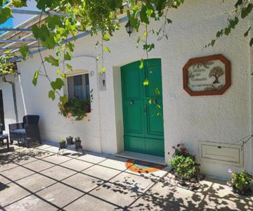 L'uliveto Sui Trabocchi