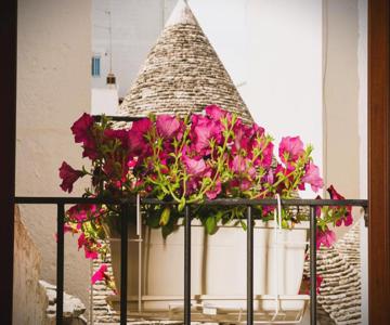 Il Trullo Moore Alberobello