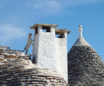 B&b Corso Trieste E Trento