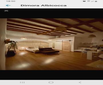 Dimora Albicocca