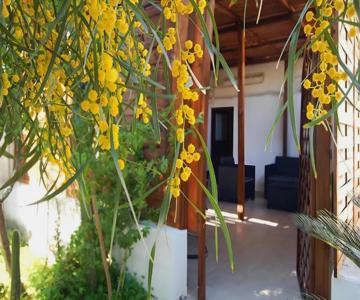 Sea Breeze Villa - Sole Apartment