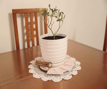 Casalotti Vacanze