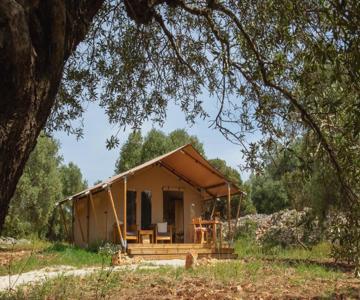 Domus Olea Glamping
