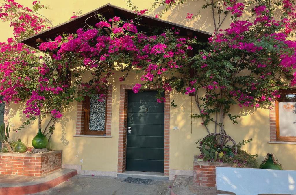 Oasi B&b Hotel Restaurant