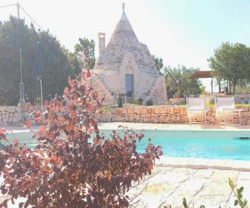 Il Nido Delle Rondini