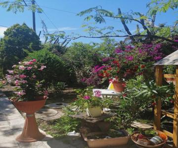 Secret Garden